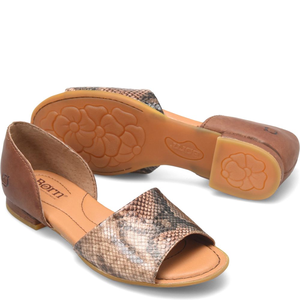 Born Escif Flats Brown Snake Combo Product ID-KeQQMdE1