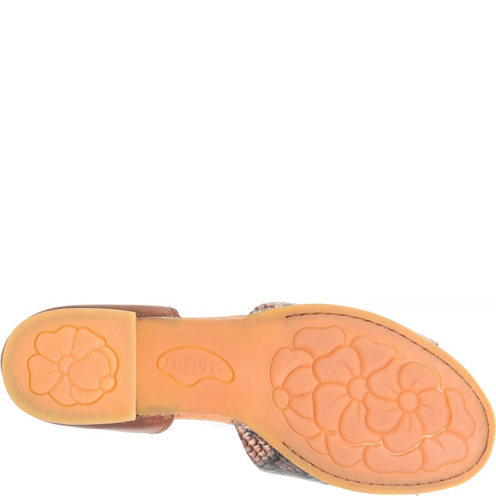 Born Escif Flats Brown Snake Combo Product ID-KeQQMdE1