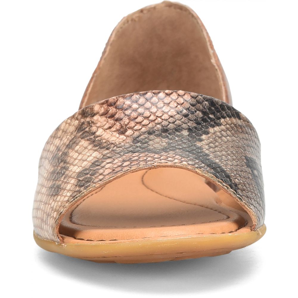 Born Escif Flats Brown Snake Combo Product ID-KeQQMdE1