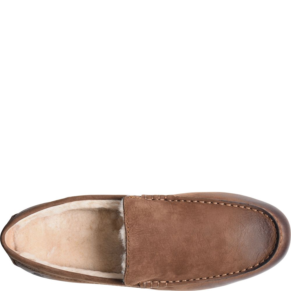 Born Allan Shearling Slippers Carafe Nubuck Product ID-k4pdbnIQ